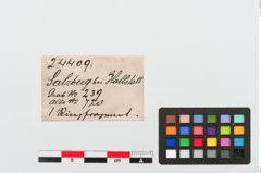Etiketten zu Bronzearmreif (NHMW-PRAE-024409)